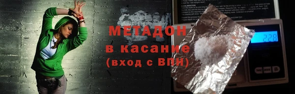 индика Бородино