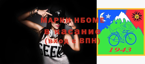 индика Бородино