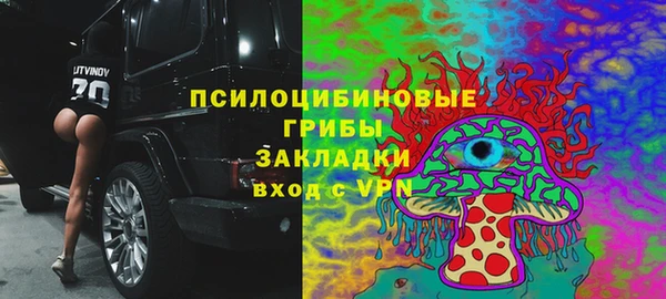 гашик Строитель