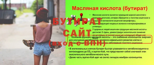 индика Бородино