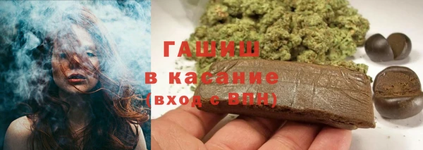 индика Бородино